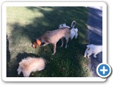 photo (14)